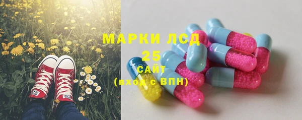 apvp Алзамай