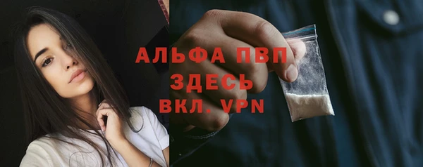 apvp Алзамай