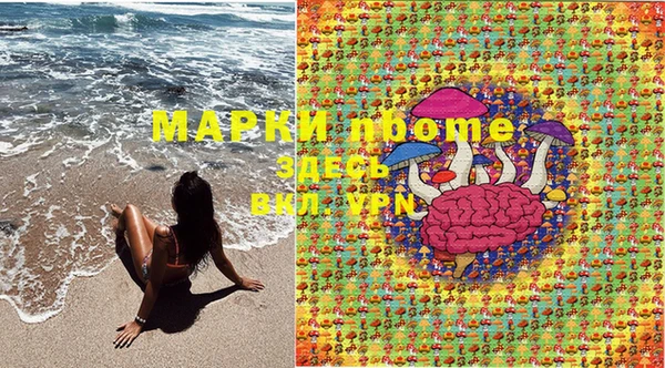 apvp Алзамай