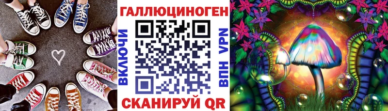 Псилоцибиновые грибы Psilocybine cubensis  OMG   Серпухов 