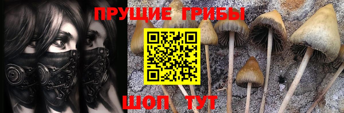 Серпухов  Галлюциногенные грибы GOLDEN TEACHER  Вход с VPN 